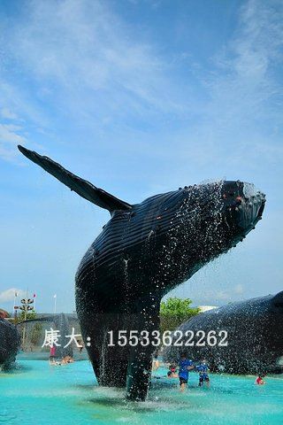 鲨鱼雕塑