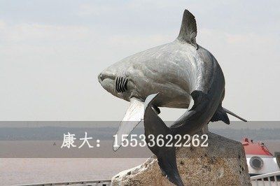 鲨鱼雕塑