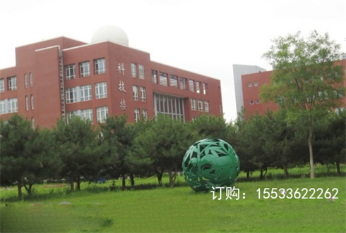不锈钢雕塑镂空花球发光圆球广场商业街酒店水景装饰景观摆件定制