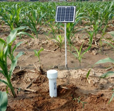 TDR-800土壤墒情速测仪