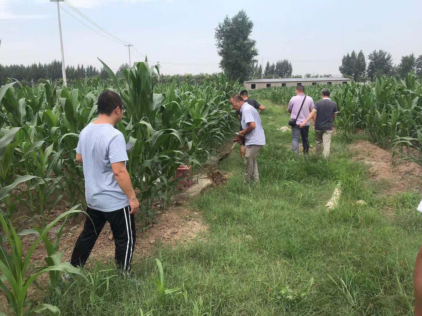 高新區(qū)農(nóng)林水工作局2018年農(nóng)田灌溉工程設(shè)計(jì)項(xiàng)目驗(yàn)收