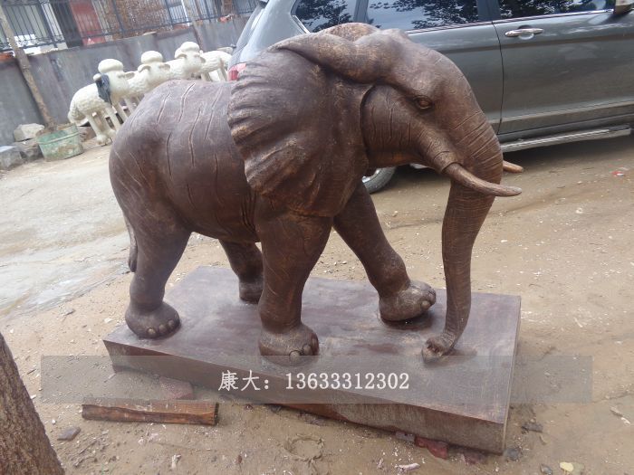 其他动物
