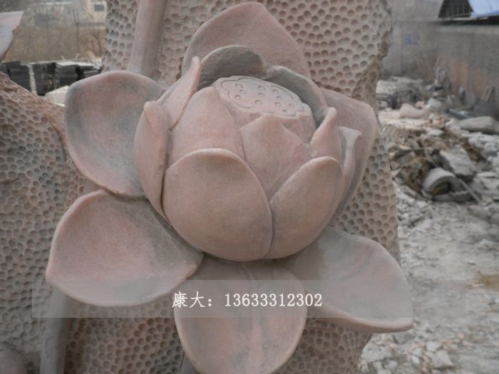 莲花
