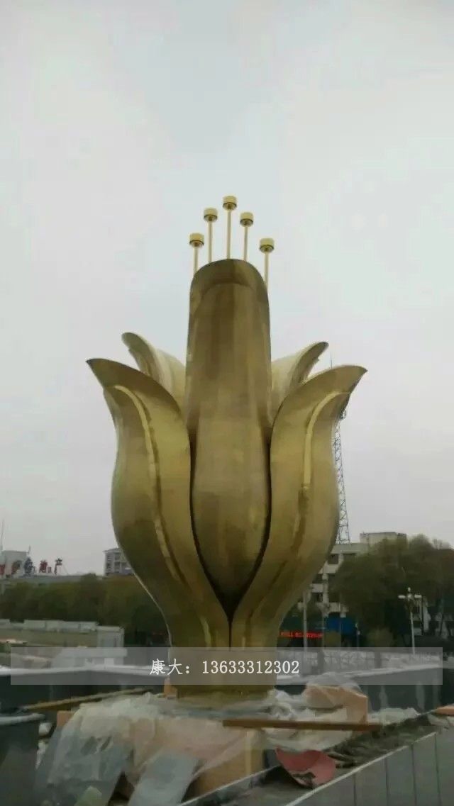 其他植物