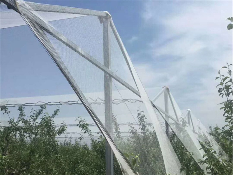 果园防雹网