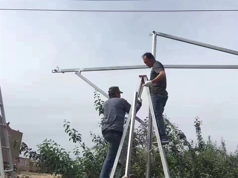 果园防雹网